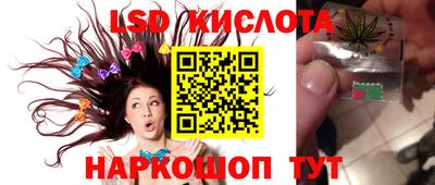 стаф Донской