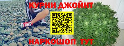 индика Аргун