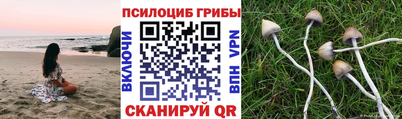 где купить наркоту  ссылка на мегу tor  Галлюциногенные грибы мухоморы  Корсаков 