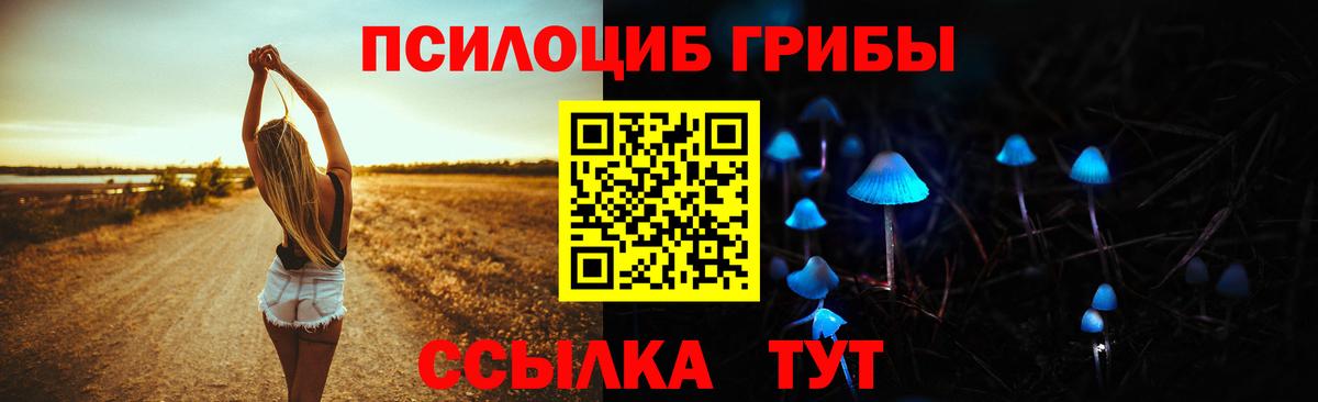 Корсаков  Псилоцибиновые грибы Cubensis  Вход с VPN 